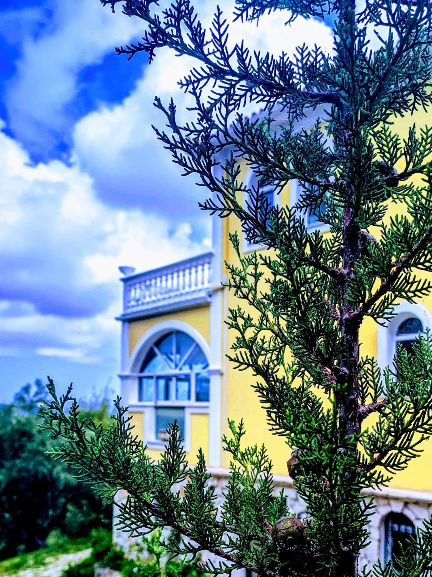 Vila Kalielaia Mouzákion Esterno foto
